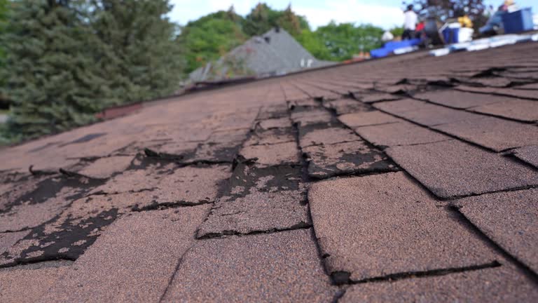 Best Emergency Roof Repair Services  in Marion, TX