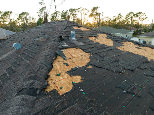 Best Green or Eco-Friendly Roofing Solutions  in Marion, TX